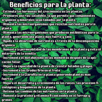 Thumbnail for Fertilizante Líquido Orgánico con 14 Elementos Nutritivos Bidón